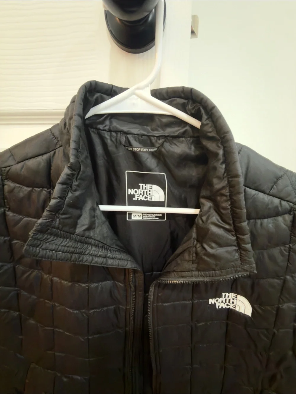 The North Face brand north
